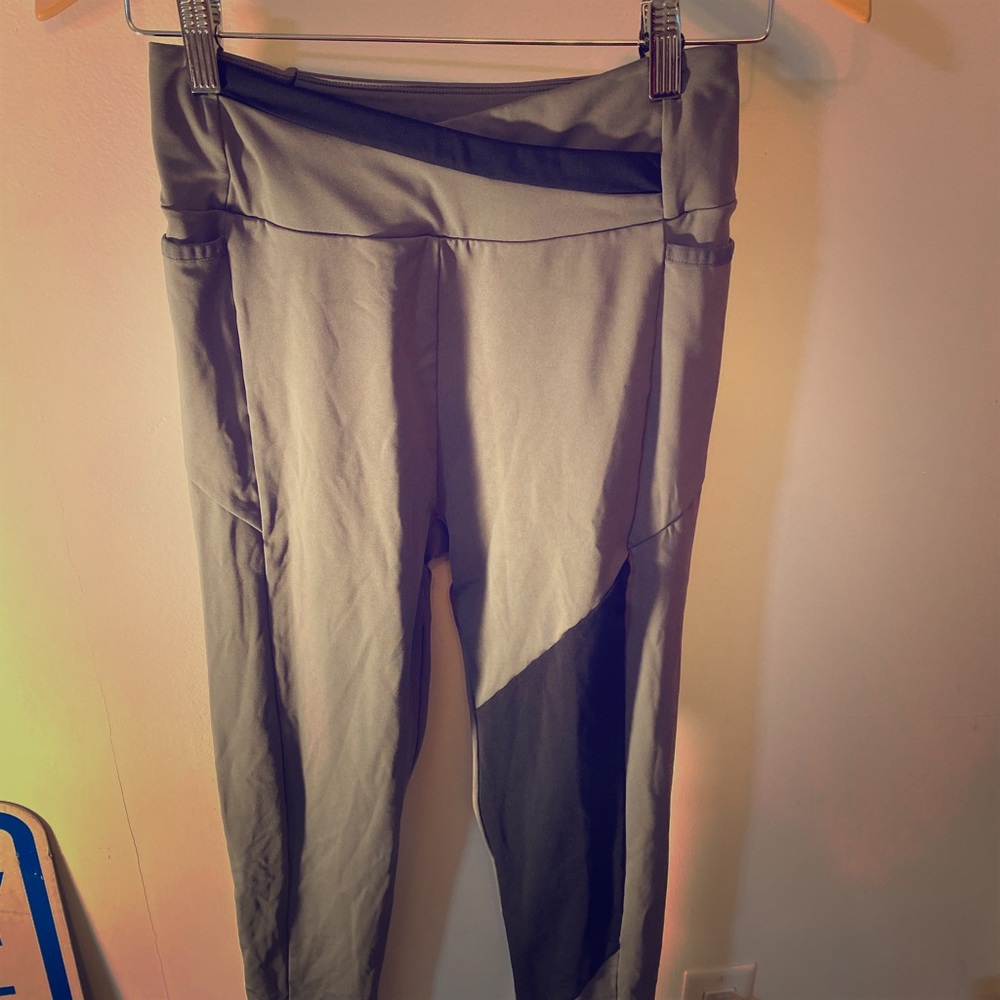 Gym shark last season